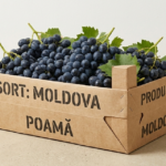 Struguri sort Moldova de masă | Preț per kg